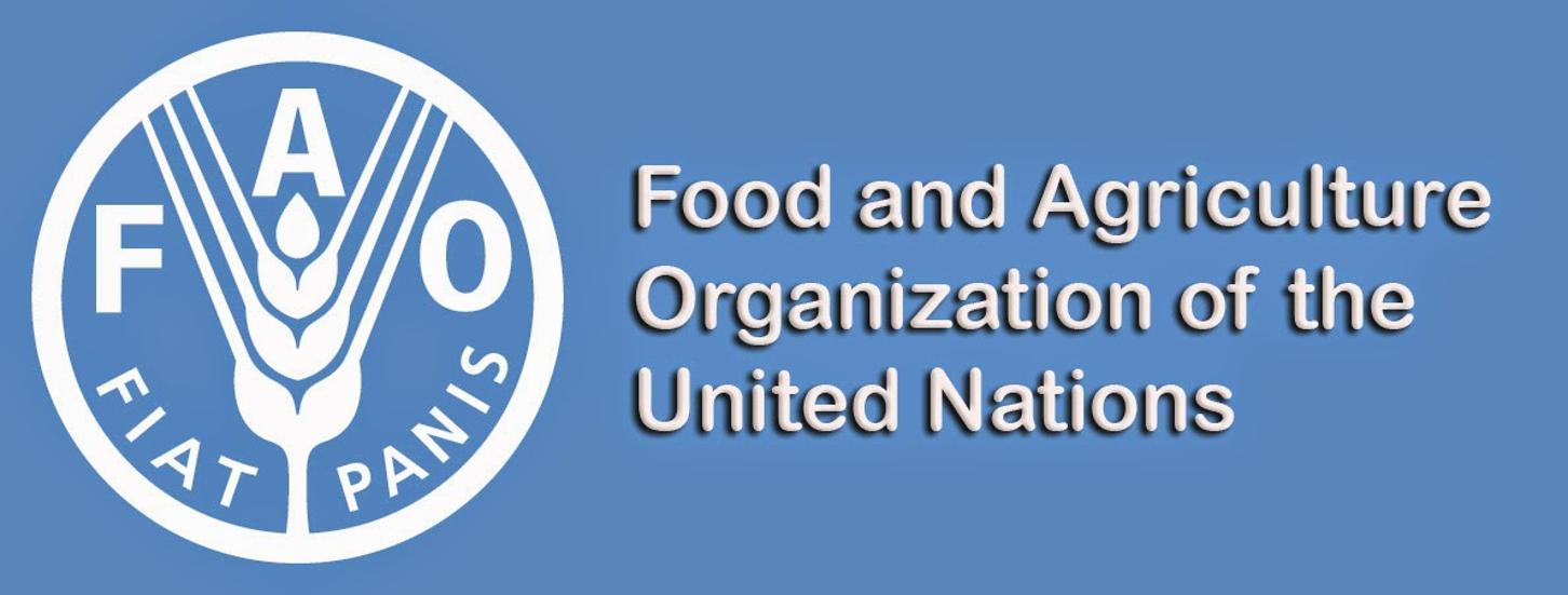 Продовольственная и сельскохозяйственная оон. Продовольственная и сельскохозяйственная организация ООН. Продовольственная организация ООН ФАО. 7.Продовольственная и сельскохозяйственная организация ООН (FAO). Продовольственная и сельскохозяйственная организация ООН (ФАО) лого.