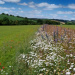 Credit: UK Centre for Ecology & Hydrology
