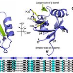 Credit: EMBL-EBI