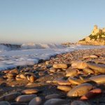 Tarragona beach. Credit: 
Universitat Rovira i Virgili