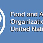 UN Food and Agriculture Organization logo