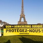 Picture from www.greenpeace.fr