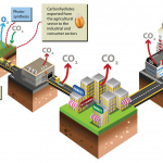 Every sector in society emits greenhouse gases. But agriculture is different from most other sectors because of the large-scale photosynthesis. Crops produce oxygen (O2) and emit it to the atmosphere.